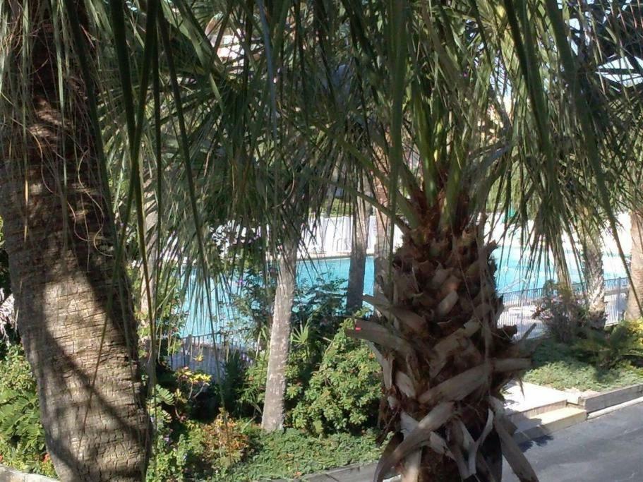 Beach Getaway III At Belleview Apartment Clearwater Beach Luaran gambar